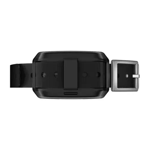 Garmin Delta SE Handheld Dog Training System